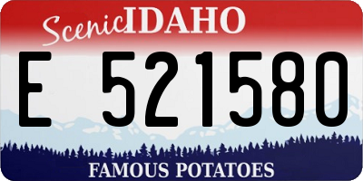 ID license plate E521580