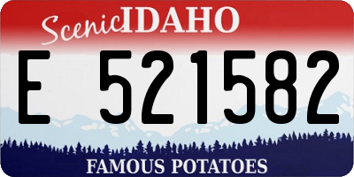 ID license plate E521582