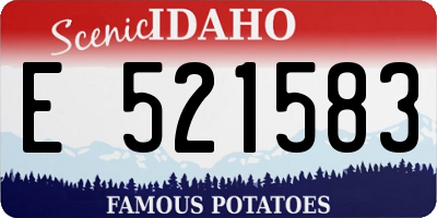 ID license plate E521583