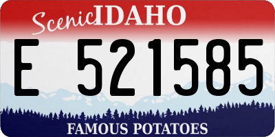 ID license plate E521585