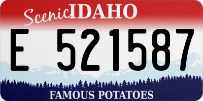 ID license plate E521587