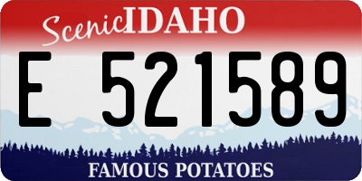 ID license plate E521589