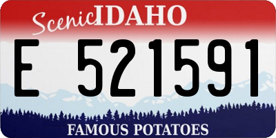 ID license plate E521591