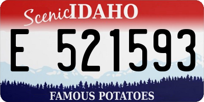 ID license plate E521593