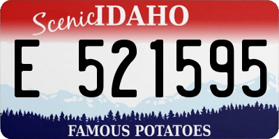ID license plate E521595
