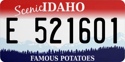 ID license plate E521601