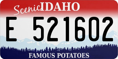 ID license plate E521602