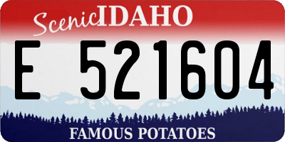 ID license plate E521604