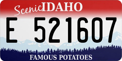 ID license plate E521607