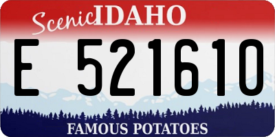 ID license plate E521610