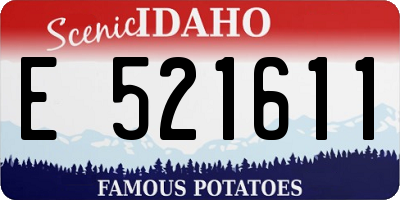 ID license plate E521611