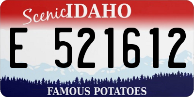 ID license plate E521612