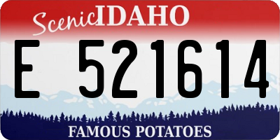 ID license plate E521614