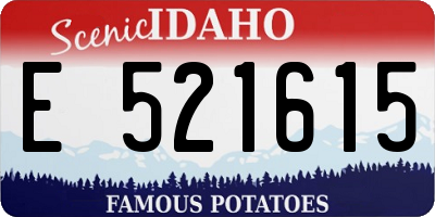 ID license plate E521615