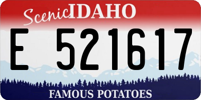 ID license plate E521617