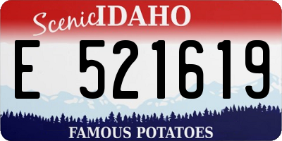 ID license plate E521619