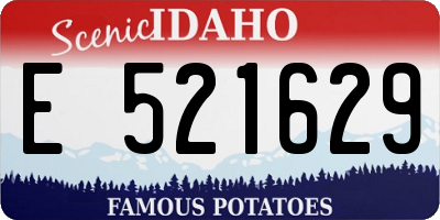 ID license plate E521629