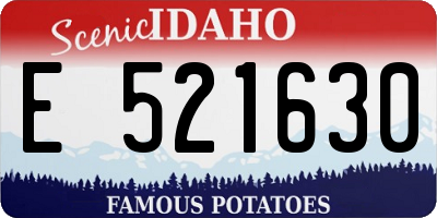 ID license plate E521630