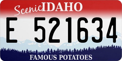 ID license plate E521634