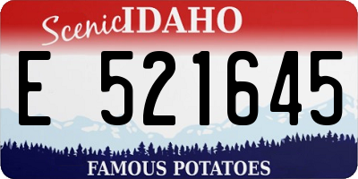 ID license plate E521645