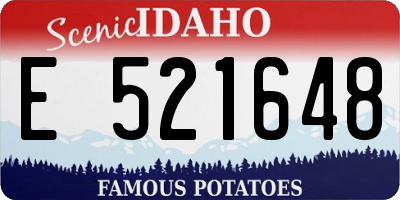 ID license plate E521648