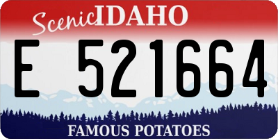 ID license plate E521664
