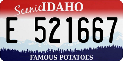 ID license plate E521667