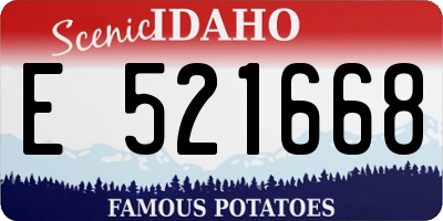 ID license plate E521668