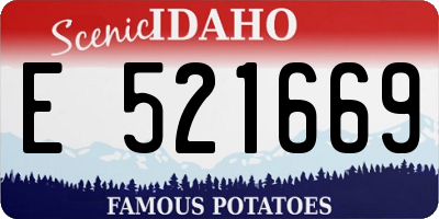 ID license plate E521669