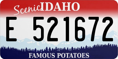 ID license plate E521672