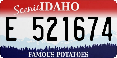 ID license plate E521674