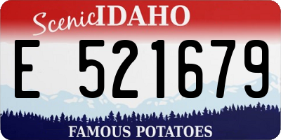 ID license plate E521679