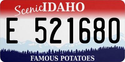 ID license plate E521680