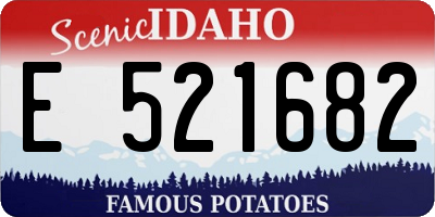 ID license plate E521682