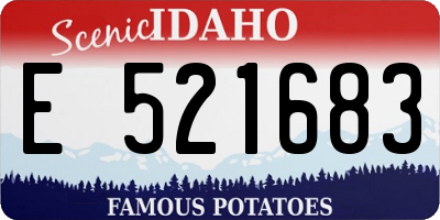 ID license plate E521683