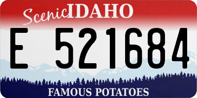 ID license plate E521684