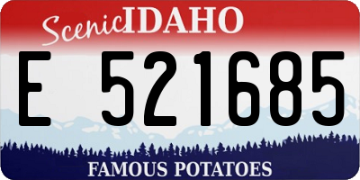 ID license plate E521685