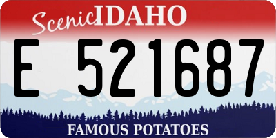 ID license plate E521687