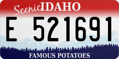 ID license plate E521691
