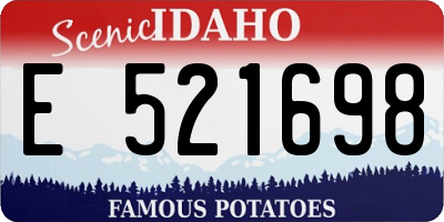 ID license plate E521698