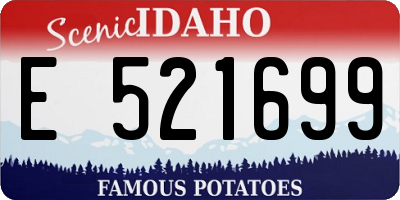 ID license plate E521699