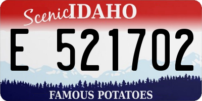 ID license plate E521702