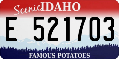 ID license plate E521703