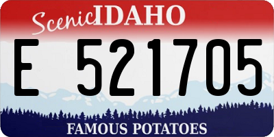 ID license plate E521705