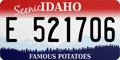 ID license plate E521706