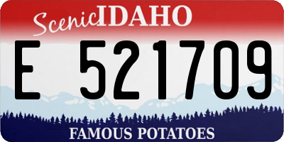 ID license plate E521709