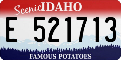 ID license plate E521713