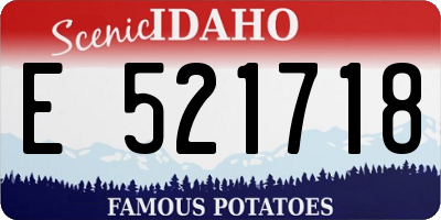 ID license plate E521718