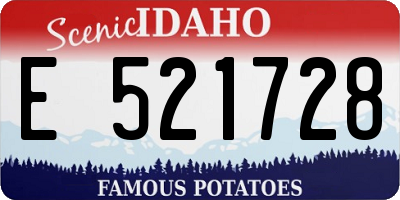 ID license plate E521728