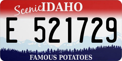 ID license plate E521729